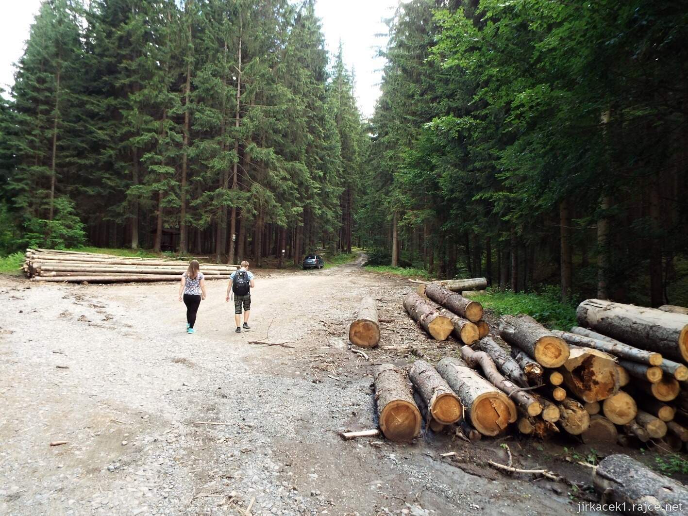 029 - cesta na Javorníček 08 - po žluté lesem - rozcestí Pluskovec Polomová