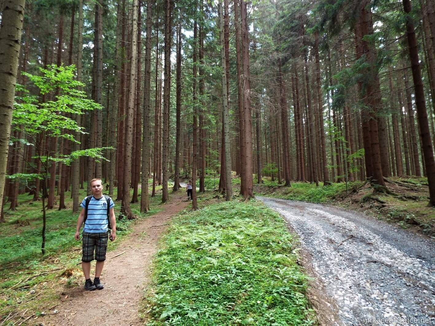 029 - cesta na Javorníček 12 - po žluté lesem na Javorníček