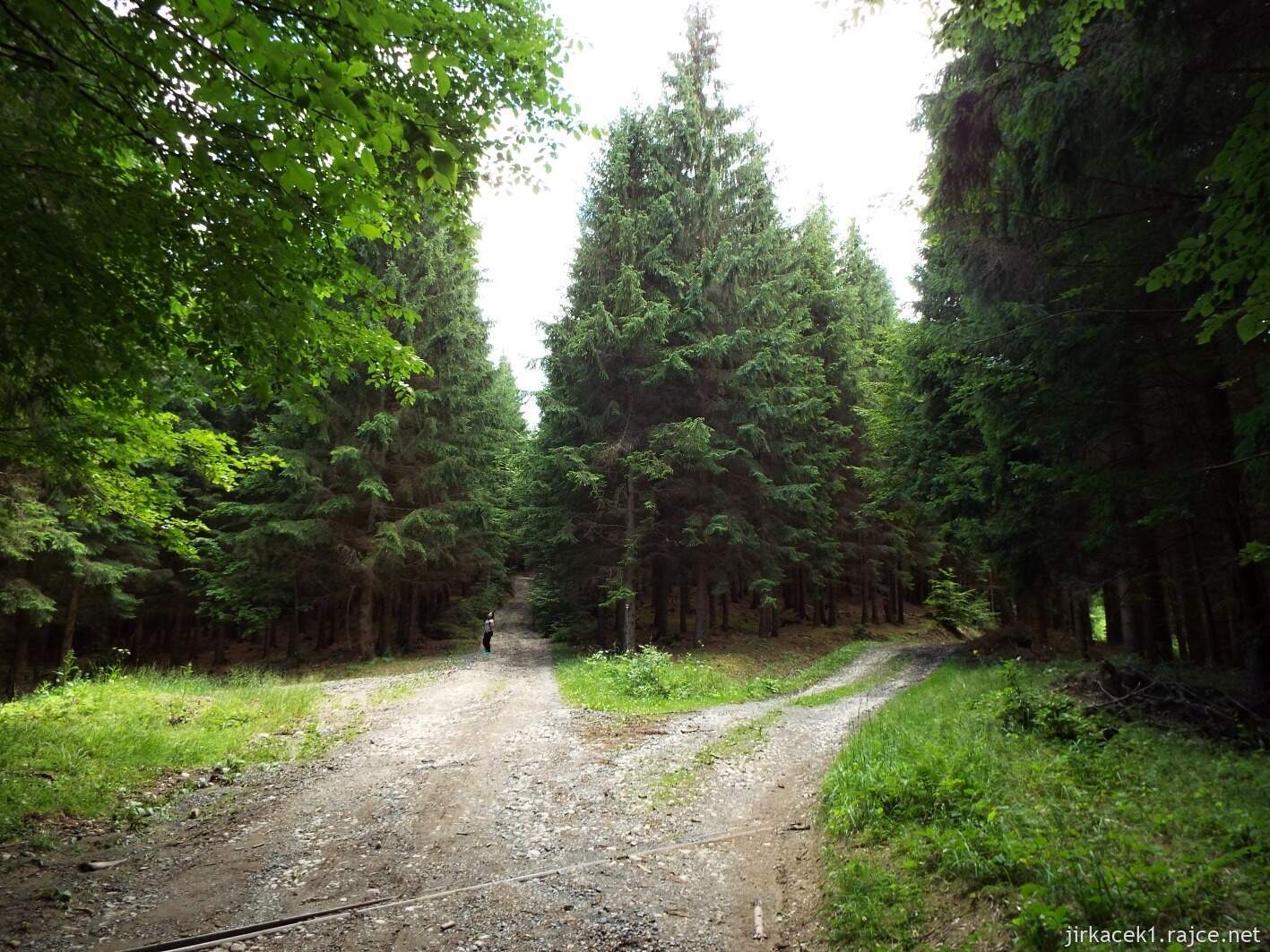 029 - cesta na Javorníček 14 - po žluté lesem na Javorníček