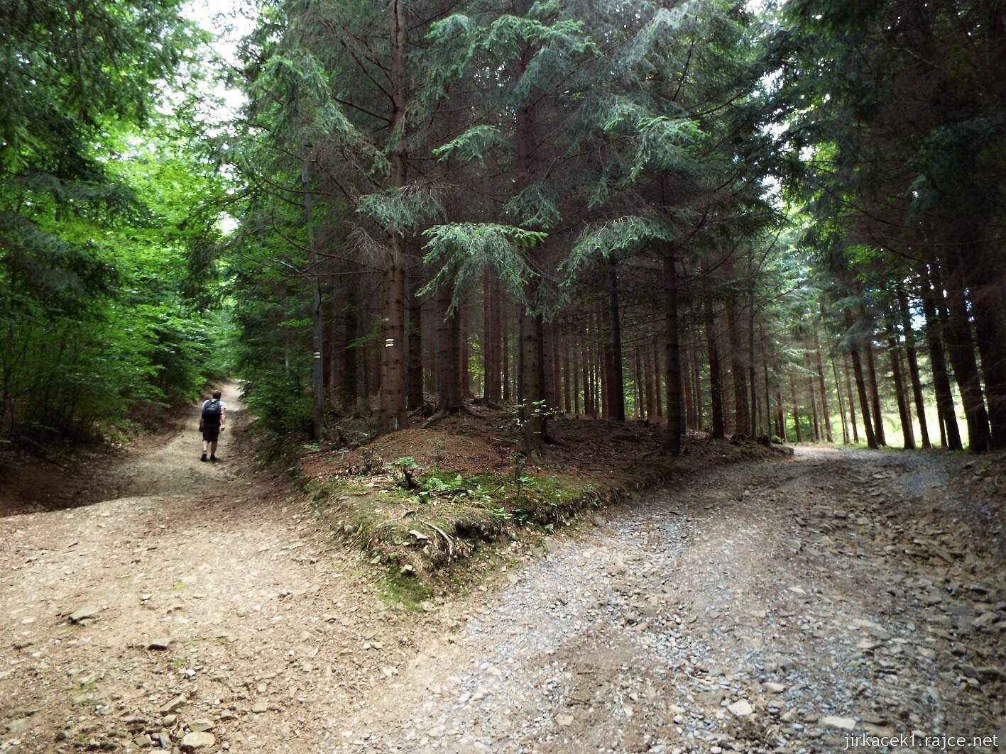 029 - cesta na Javorníček 19 - po žluté lesem na Javorníček