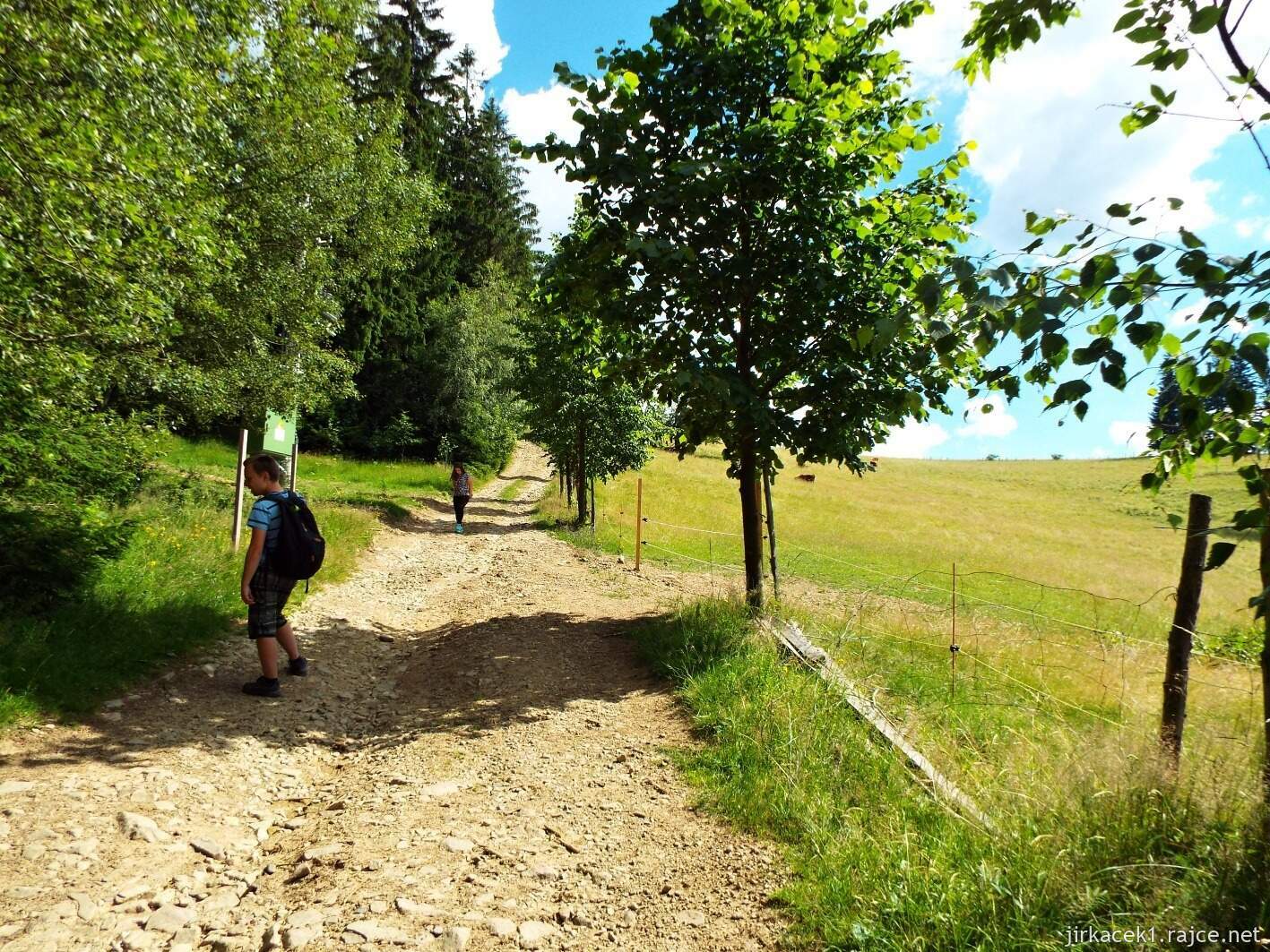 029 - cesta na Javorníček 29 - po žluté lesem na Javorníček