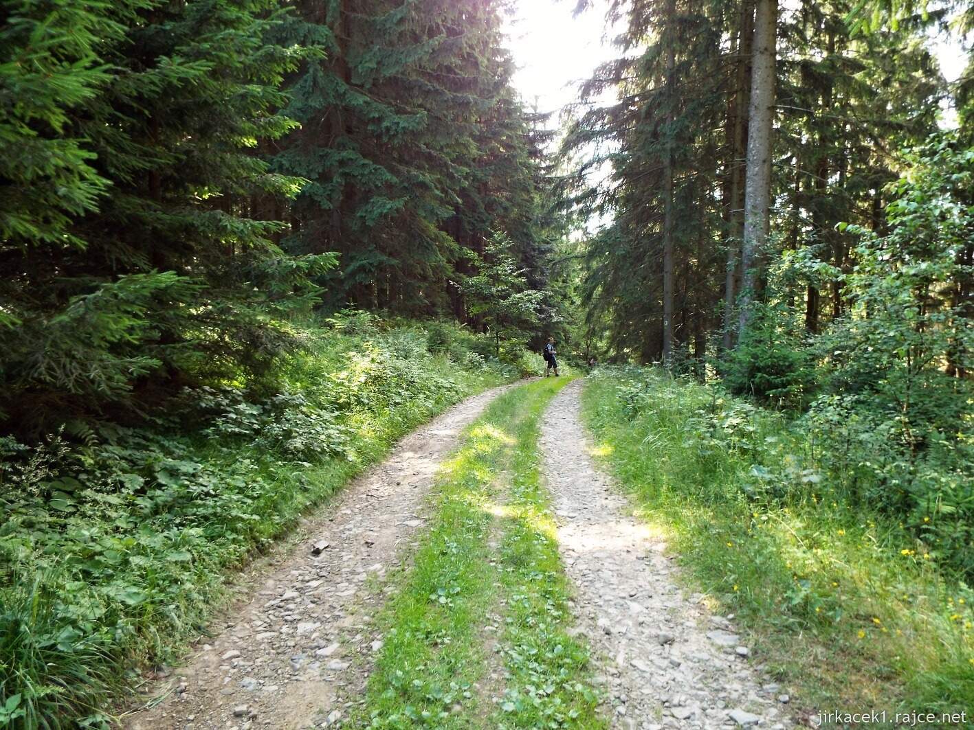 031 - cesta z Javorníčku ke kapličce Na Štrčkové 09