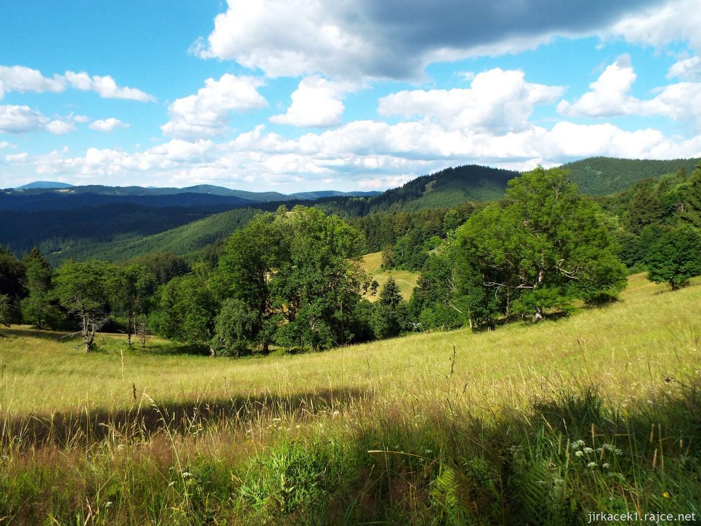 031 - cesta z Javorníčku ke kapličce Na Štrčkové 11