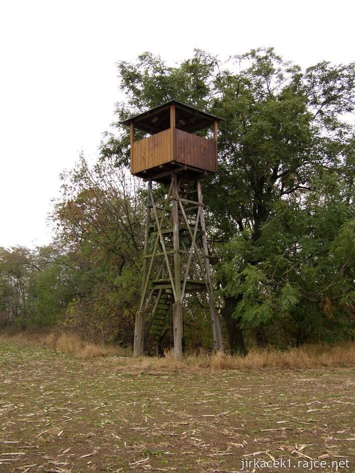 Dobrochov - rozhledna Štátula na kopci Předina