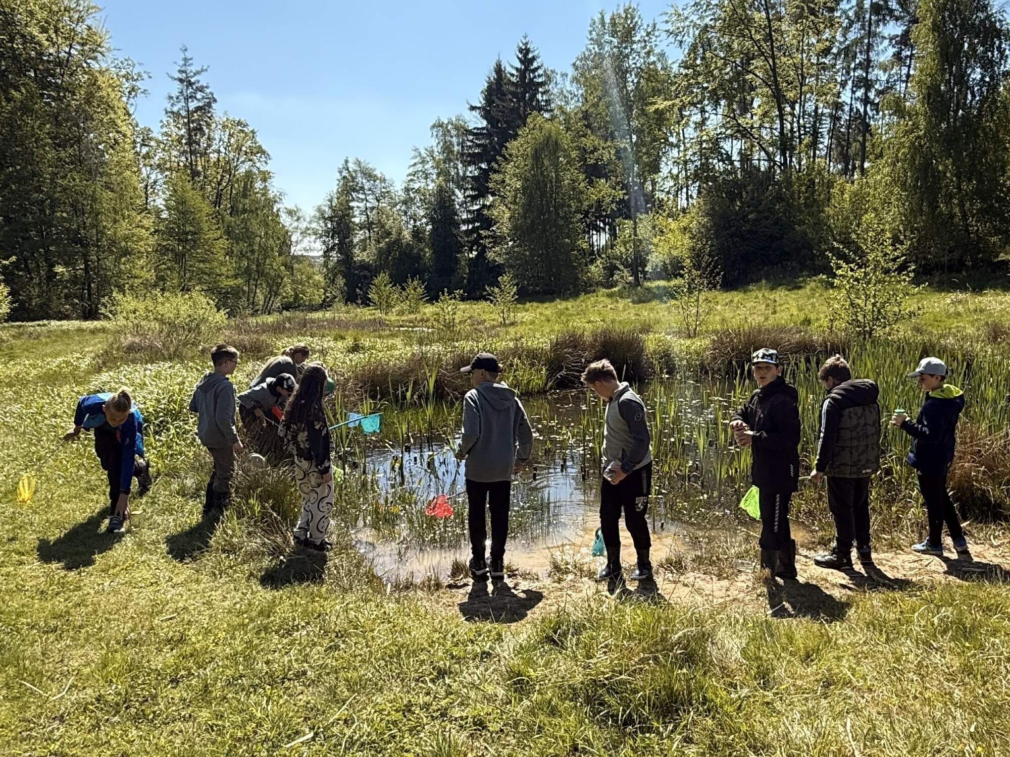 Modré žáby pod Šacberkem 4.A Modré žáby pod Šacberkem 4.A