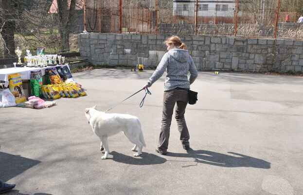 Jasper la Blankpapilio - Male Puppy Class
