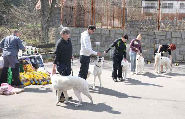 Agbar a Akir White Star Czech, Mambo Taien, Orris Acabo Czech a Ronaldino Donnevara - Male Junior Class