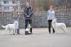 Chantal Taien (BOB krátkosrstý pes) a Ginna la Blankpapilio (BOB dlouhosrstý pes) - O vítěze speciální výstavy - BIS